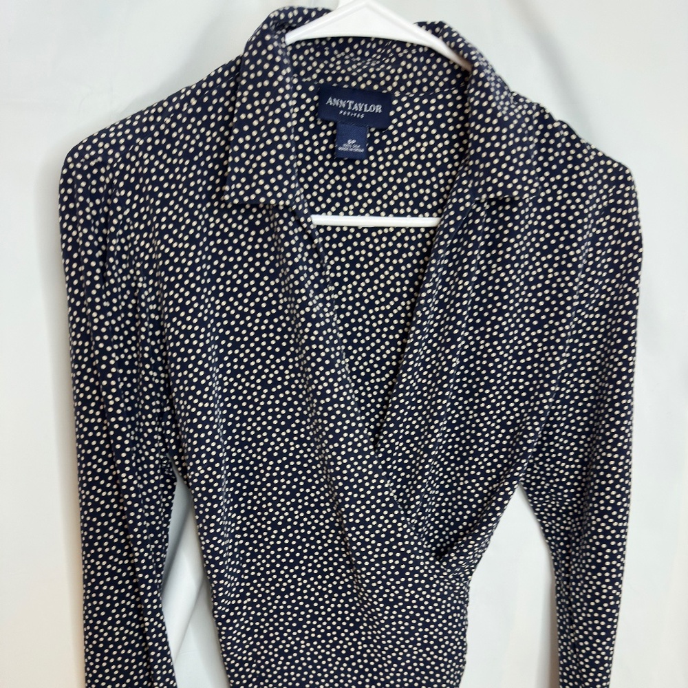 Ann Taylor Blue Polka Dot Silk Blouse